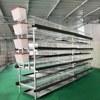 Cage à poulets en métal galvanisé de type H, cage à poulets pour la ponte des œufs