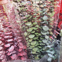 Bunga kering alami paling populer daun hijau tua Eucalyptus daun tembaga kamar tanaman dekorasi rumah pernikahan