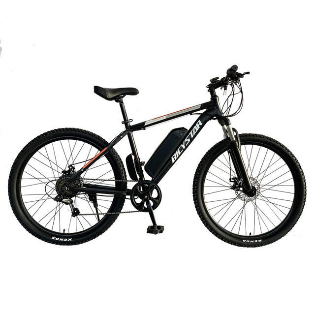 Factory Directly Sell Latest Mountain Electric Bike E Bicycle 26" 48V 750W Mountain Exercise Electric Bike