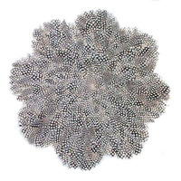 94 Hot Selling Placemat High Quality Placemat Feather Cushion Of Guinea Feathers