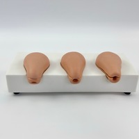 Modelo avanzado de simulación uterina para aborto inducido, 3 modelos simulados de anatomía uterina, entrenamiento en obstetricia y ginecología