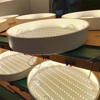 Plafonnier Led Direct Usine Suspendu Surface Monté Carré Led Plafonnier Dimmable Rond Led Panneau Lumineux