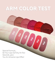 Mini Coffret de Rouges à Lèvres Végans de Luxe Rouge Nude Étanche Longue Tenue en Gros Rouge à Lèvres Liquide Velours Mat Personnalisé Marque Privée