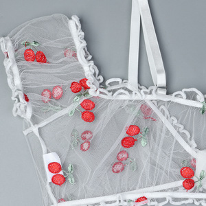 Conjunto de lencería de malla transparente con bordado de cerezas, tentación sexy, conjunto de sujetador de tres piezas al por mayor - Product Image 2