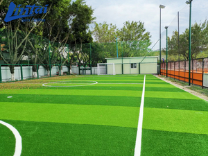 Terrain <span class=keywords><strong>de</strong></span> football 5 contre 5 <span class=keywords><strong>de</strong></span> qualité supérieure, <span class=keywords><strong>cage</strong></span> <span class=keywords><strong>de</strong></span> football extérieure avec gazon professionnel en <span class=keywords><strong>aluminium</strong></span> pour l'entraînement - Product Image 2