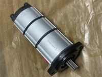Pompe à engrenages hydraulique 7409991 7010171 7409995 7010330REM 26081128436 Convient aux chargeuses