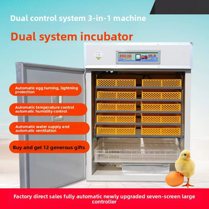 Incubadora Comercial de <span class=keywords><strong>Huevos</strong></span> de Gallina de 1056 <span class=keywords><strong>Huevos</strong></span>, 220v, Envío Gratis, Incubadora para Incubar y Criar Pollitos - Product Image 4