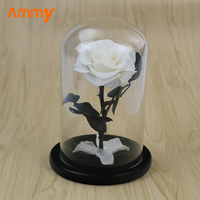 Rose éternelle conservée Ammy Red avec couvercle en verre pour Noël, mariages, Nouvel An, Saint-Valentin, idée cadeau