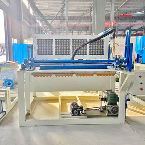 Machine de moulage de plateau d'oeufs en vente, machine de plateau d'oeufs utilisée de recyclage de papier de rebut entièrement automatique