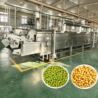 Machine à frire les snacks, fruits de mer et noix entièrement automatique de type bande continue, pour arachides grillées et enrobées