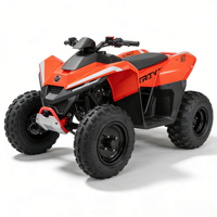Quad à essence 4 temps à transmission par chaîne de 8 pouces 120cc, dernier modèle, puissant, 4 roues, tout-terrain, buggy des dunes pour enfants et adultes