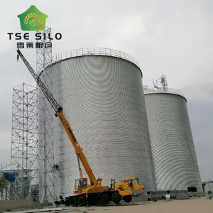 Lentils and peas storage used grain steel flat bottom silo for sale