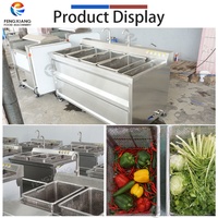 RVS dubbele tank groente fruit maïs ozon ultrasone bubbelwasser pomp motor voor commercieel gebruik 300-500kg/uur CE
