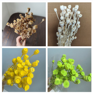 ดอกไม้แห้ง ผลป๊อปปี้ พืชธรรมชาติ วัสดุ DIY ทำมือ สำหรับทำพวงหรีด เครื่องประดับผม ผลิตในจีน รุ่น <span class=keywords><strong>Ymr</strong></span> - Product Image 2