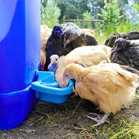 Kit d'abreuvoirs automatiques pour animaux QA, abreuvoir pour volailles, poulets, canards, oiseaux, dindes, lapins, animaux de compagnie