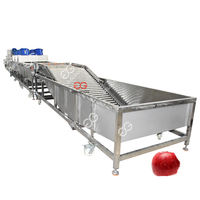 Commerciële automatische voedselreinigingsapparatuur met hoge capaciteit voor fruit, groenten en bladgroenten, bubbelwasmachine