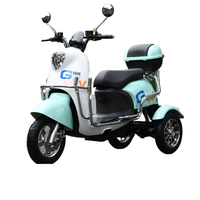 Tricycle électrique puissant : batterie 60V, frein à tambour, charge rapide