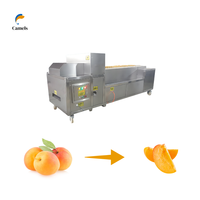 Machine d'extraction, extracteur et séparateur des graines, Machine d'extraction, de grains d'abricot et de poivre