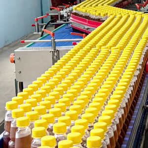 Full Automatic Professional Manufacturing Juice Production