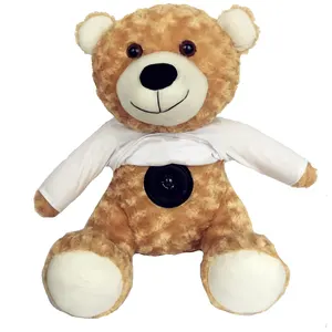 2021 Beste Nieuwe Mode Populaire Verjaardag Speaker Fabriek China Gift Groothandel Gerecycled Teddybeer Knuffel