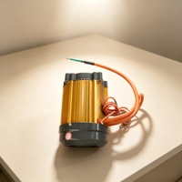 Pièces détachées pour moteur à courant continu à balais 1KW/2KW/3KW pour mini-dumper électrique Chine Pérou
