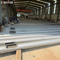Poste de Luz LED Galvanizado para Carreteras de 20, 35 y 40 Pies, Soporte Octogonal para Farolas, Precios de Postes de Lámparas Solares para Exteriores