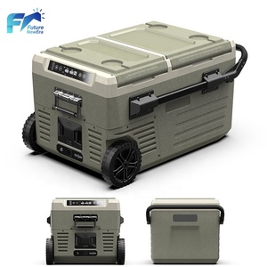 Refrigerador para Auto con Compresor, para Uso Doméstico y en Vehículos, 12V 220V, con Ruedas, Serie M, Venta de Fábrica - Product Image 1