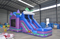 Toboggan gonflable commercial 8x4M, combo humide/sec