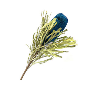 Ideas de Productos Nuevos 2025: Flores Secas de Protea Banksia Rosa Preservadas para Decoración de Bodas, San Valentín, Graduaciones y Navidad - Product Image 4