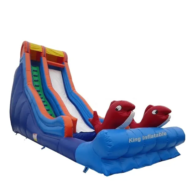 Adult Inflatable Dual Water Slide With Pool slip and slide the city