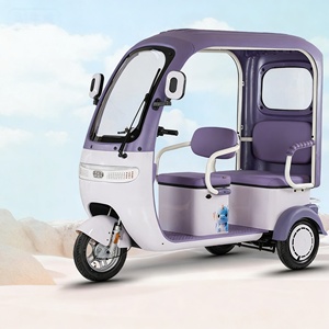 Tricycle électrique pas cher, usine chinoise, prix <span class=keywords><strong>bas</strong></span>, vente directe, moteur 800w, tricycle familial de haute qualité pouvant accueillir 3 personnes - Product Image 2