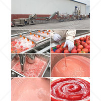 HNOC Industriële Ketchupmachine Automatische Tomatensausmachine Tomatenpureemachine