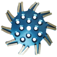 Disque de meulage diamanté pour béton de 300 mm (10 pouces) type Blastrac pour meuleuse de sol, personnalisable OEM