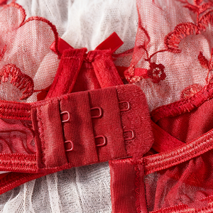 Amerikaanse Kerst Nieuwe Stijl Sexy Witte Lingerie en BH Set Sexy Meisje Sexy Fancy BH Slip Set Hete Sexy Meisjes Met Slip Set - Product Image 3