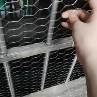 Filet hexagonal galvanisé à triple torsion pour cage à lapins, filet de clôture pour volailles en PVC enduit de plastique