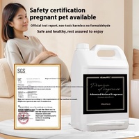 Diffuseur d'arômes liquide écologique OEM ODM 5000 ml pour hôtel avec fonction de pulvérisation, huile essentielle biologique pour l'aromathérapie