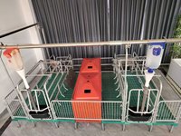 MUFA Nouveau Équipement d'élevage porcin moderne : Étable de gestation et d'accouchement automatique pour truies, type H/A, avec structure en acier et garantie 1 an