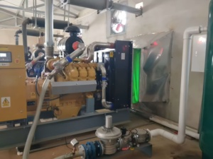 Offre Spéciale : Générateur de biogaz au méthane 50-200 kW pour fermes porcines/volailles/bovines, refroidissement par eau, démarrage électrique DC, monophasé - Product Image 5