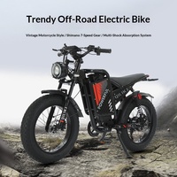 Vélo électrique tout-terrain à pneus larges 48V, pneus épais de 20 pouces, design rétro, batterie au lithium, freins à disque