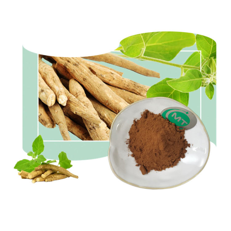 Чистый натуральный высококачественный экстракт порошка Ashwagandha 1% витанолиды