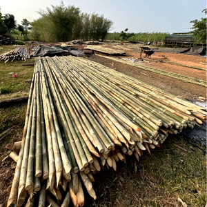 Canes en bambou 100 % naturelles et écologiques – Branches de bambou originales, piquets et pôles pour l'agriculture, en vrac - Product Image 1
