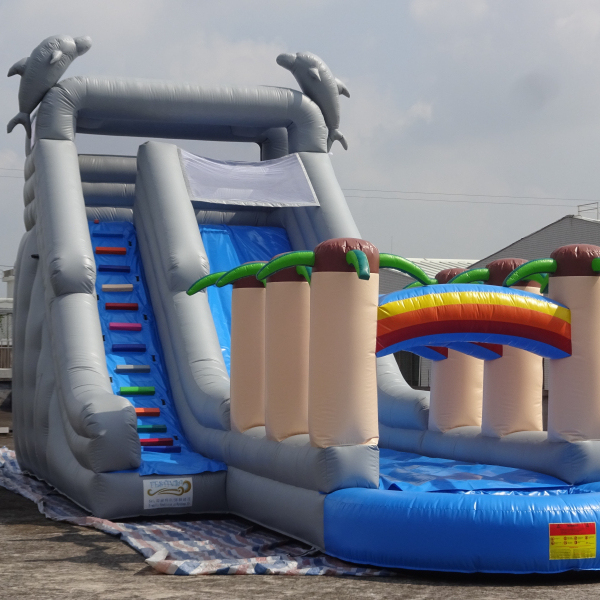 Popular Dolphin Slide Inflatable Water Slide