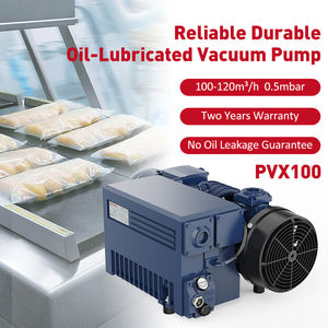 مضخة دوارة مشحمة بالزيت أحادية المرحلة من Wordfik PVX100 100 100-120 متر مكعب/ساعة تحمل بخار الماء لتدفق الهواء للتجفيف بالتفريغ - Product Image 3