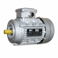 Motor Induksi Asinkron 3 Fasa dengan Casing Aluminium Premium, Pembuangan Panas Cepat, Motor Penggerak Listrik Industri