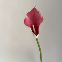 Realistische PU Weiße Calla-Lilien Künstliche Blumen 60 cm für Hochzeit Weihnachten Neujahr Chinesisches Neujahr Heimdekoration - Moderner Stil