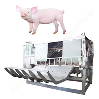 Small Scale Pig Slaughter House Pork Slaughter Line Abattoir Machine Livestock Pig Slaughter Line