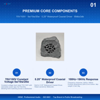 Enceinte de jardin HKNC S-503 Faux Rock 20W, 70V/100V, étanche, pour extérieur et aménagement paysager
