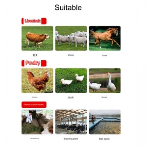 Molino Eléctrico Automático para Alimentación de Ganado, Nuevo Estilo, Equipo Agrícola Doméstico para Procesamiento de Alimentos para Ganado Vacuno y Ovino - Product Image 6