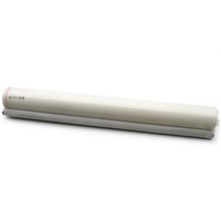 Nouvelle bande de nettoyage de four compatible pour Canon IR ADVANCE 6055/6065/6075/6255/6265/6275/5055/5065/5570/6570 FY1-1157-000 Pièces de copieur