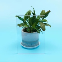 Plaque en polycarbonate massif de 1 mm, technologie de natation résistante à l'eau de mer et à la plage, Fomi en plaques, toit transparent pour l'extérieur